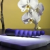 Anālais Vibrators Selopa Violets