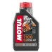 Motorolja för motorcyklar Motul MTL104091 1 L 10W40