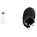 Cat toy Kerbl Automatic Laser