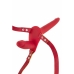 Gode ceinture Fetish Tentation Rouge 15,5 cm