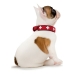 Collar para Perro Hunter Swiss Rojo/Negro (38-43.5 cm)