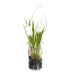 Decoratieve plant Polyester Polyethyleen Ijzer 7 x 7 x 24 cm