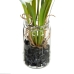 Decoratieve plant Polyester Polyethyleen Ijzer 7 x 7 x 24 cm