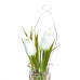 Decoratieve plant Polyester Polyethyleen Ijzer 7 x 7 x 24 cm