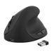 Mouse Ergonomic Optic TNB Ergo Line Negru 1600 dpi