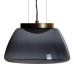 Plafondlamp Zwart Gouden 20 W