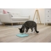 Voerbak voor katten Kerbl                                 Turkoois Plastic 20 x 20 cm