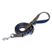 Laisse pour Chien Dingo                                 Bleu Multicouleur