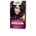 Μόνιμη Βαφή Palette Schwarzkopf N 4,99 Violin