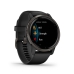 Умные часы GARMIN Venu 2 1,3