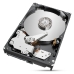 Cietais Disks Seagate ST2000NT001 3,5