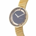 Horloge Dames Pierre Cardin CMA-0009