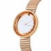 Ladies' Watch Pierre Cardin CMA-0017