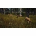 Βιντεοπαιχνίδι PlayStation 5 THQ Nordic Way of the Hunter Wild Expeditions (FR)