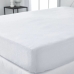 Mattress protector TODAY Essential Double bed 140 x 190 cm Absorbing