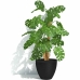 Plant pot Garden ID Black 40 x 31 cm