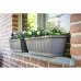 Selvvandende planter Garden ID Antracit 60 cm