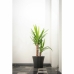 Plant pot Garden ID Black 30 x 27 cm