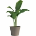 Plant pot Garden ID Taupe 30 x 27 cm