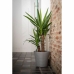 Self-watering flowerpot Garden ID Taupe 15 x 30 x 15 cm