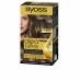 Herstellend Haar Masker Syoss COLORACIÓN (5 Stuks)