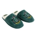 Slippers Voor in Huis Harry Potter Groen