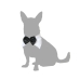 Costume per Cane Papillon M