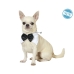 Dog Costume Bow tie L