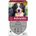 Pipette til hunde Advantix 40-60 Kg