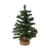 Kerstboom Everlands Groen (60 cm)