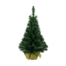 Kerstboom Everlands Groen (60 cm)