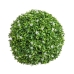 Decoratieve plant   Klot Oranjebloesem 30 x 30 x 30 cm