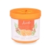 Air Freshener Orange Ginger 190 g (24 Units)