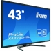 Monitors Iiyama 4K Ultra HD