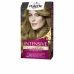 Obstojna barva Palette Intensive Schwarzkopf Nº 7 Srednje blond