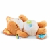 Musical Toy Vtech Baby My Kitten Sweet Night