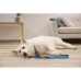 Collare per Cani Kerbl 80096 Azzurro Nero Stampa 46 cm 55 cm 45 cm