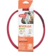 Hondenhalsband Zolux BIVOUAK LED Rood 60 cm 30 cm