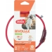 Collar para Perro Zolux BIVOUAK LED Rojo 40 cm 20 cm