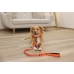 Hundehalsband Kerbl 80100 Schwarz Orange gedruckt 45 cm 36 cm