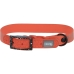 Collar para Perro Kerbl 80101 Negro Naranja Estampado 46 cm 55 cm