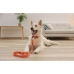 Coleira para Cães Kerbl 80101 Preto Laranja Estampado 46 cm 55 cm