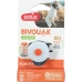 Adhesives/Labels Zolux BIVOUAK Blue