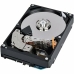 Cietais Disks Toshiba 6 TB SSD