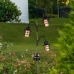 Solcellelampe Lumisky BERRY SPIKE Svart