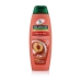 Champô Palmolive Naturals Shampoo 350 ml