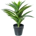 Dekorativ växt Alexandra House Living Lilium Plast 35 cm