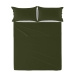 Top sheet HappyFriday Basic Green Single