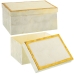 Set of decorative boxes Alexandra House Living Golden Mother of pearl 2 Pieces