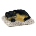 Knuffel met Geluid Alexandra House Living Grijs Hond 14 x 6 x 13 cm Mini